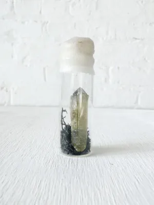 10% SALE Raw Citrine Specimen w/ Black Moss in Wax Vial