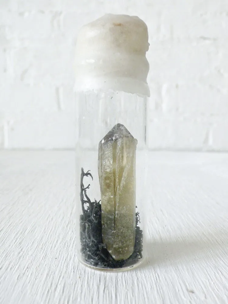10% SALE Raw Citrine Specimen w/ Black Moss in Wax Vial