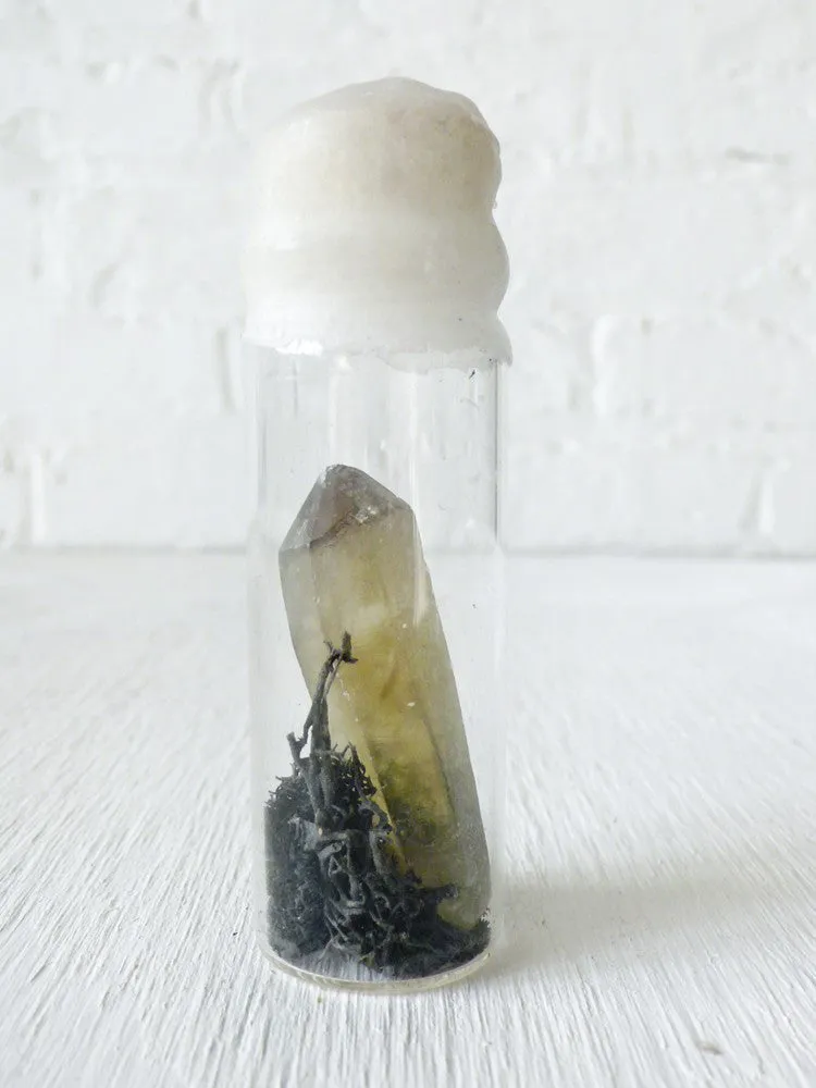 10% SALE Raw Citrine Specimen w/ Black Moss in Wax Vial