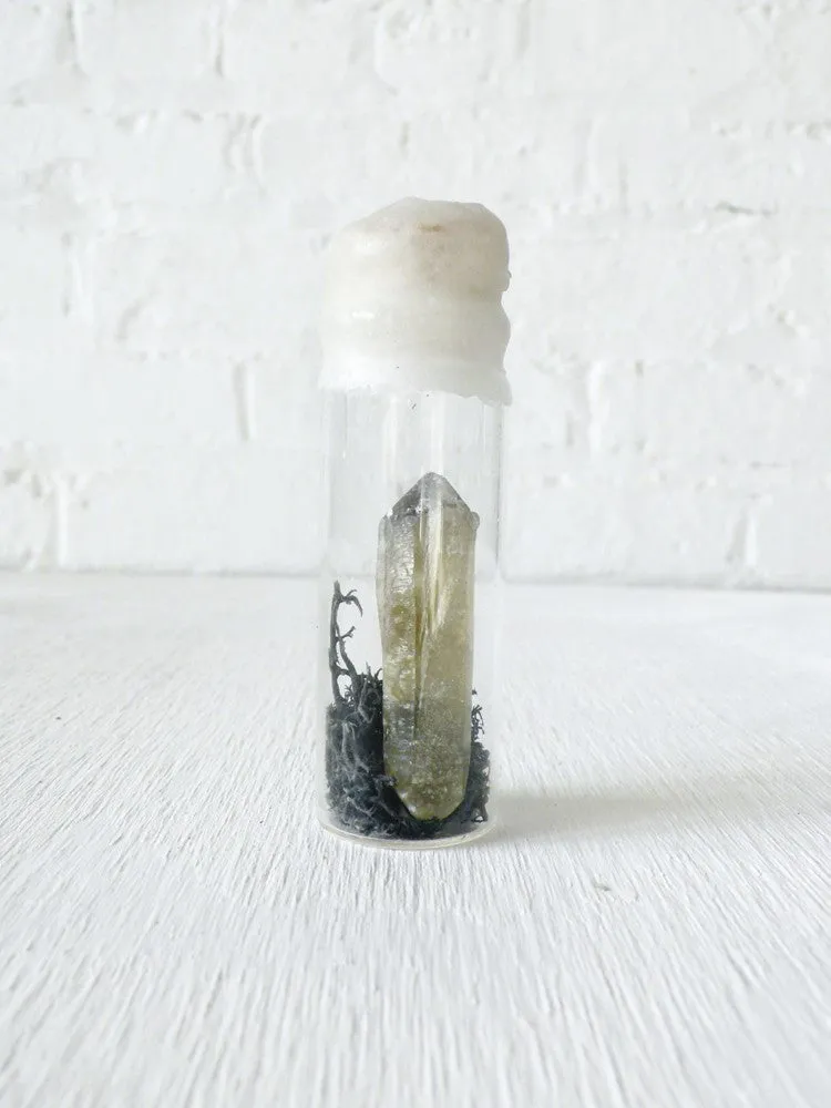 10% SALE Raw Citrine Specimen w/ Black Moss in Wax Vial