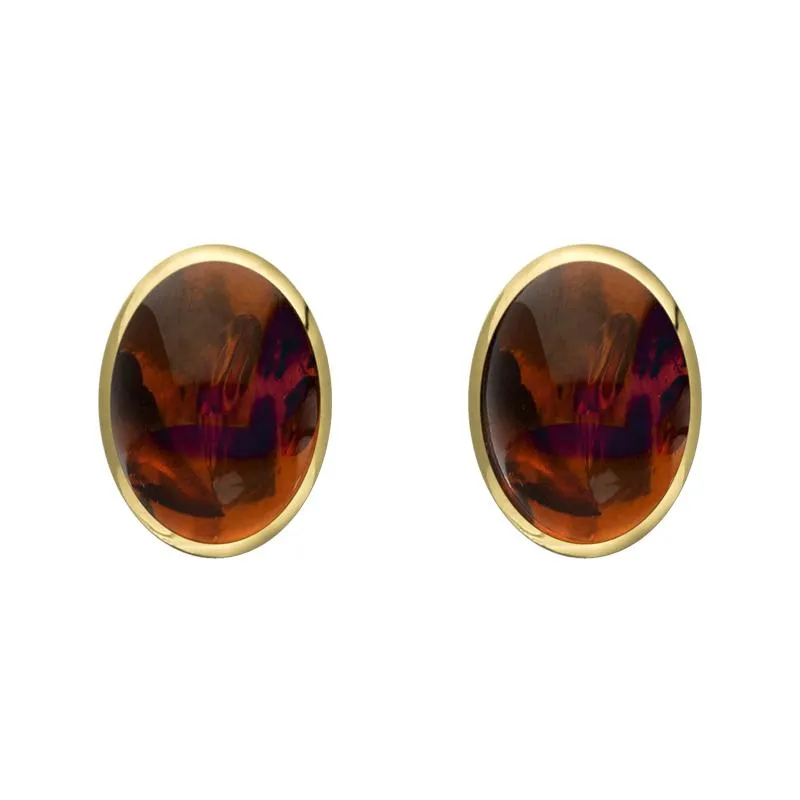 9ct Yellow Gold Amber 8 x 6mm Classic Medium Oval Stud Earrings