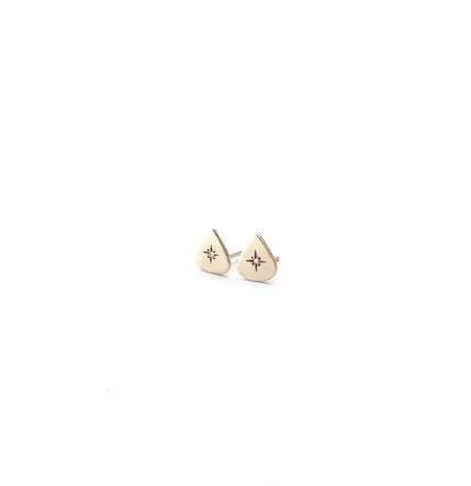 guitar pick studs