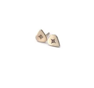 guitar pick studs