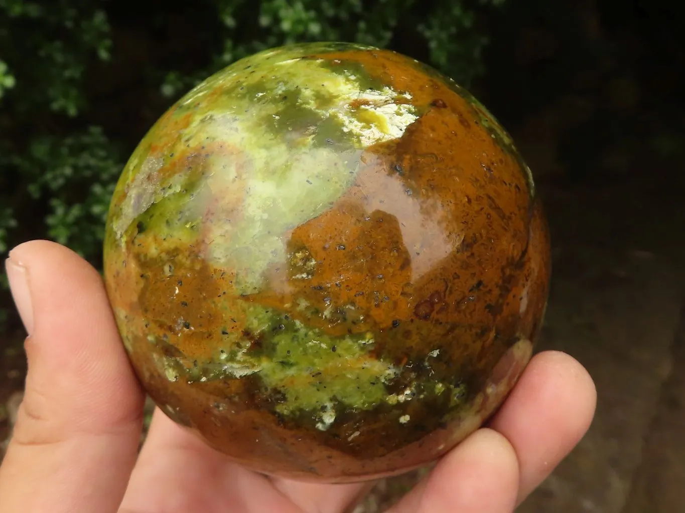 Polished Stunning Green Opal Spheres  x 2 From Madagascar