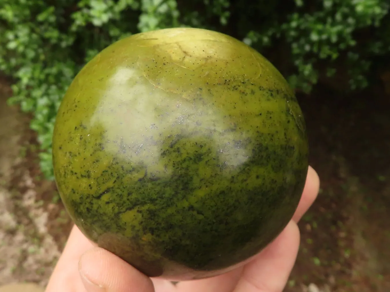 Polished Stunning Green Opal Spheres  x 2 From Madagascar