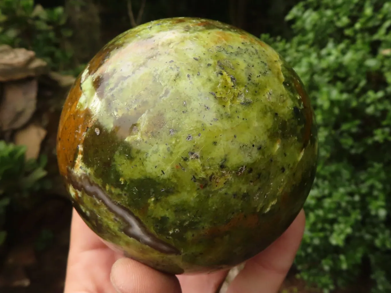 Polished Stunning Green Opal Spheres  x 2 From Madagascar