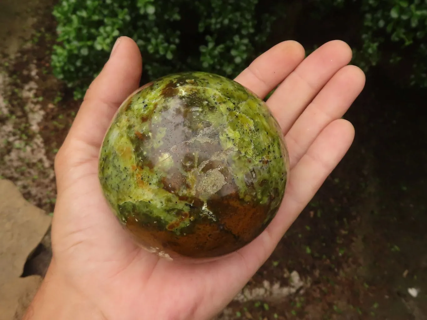 Polished Stunning Green Opal Spheres  x 2 From Madagascar