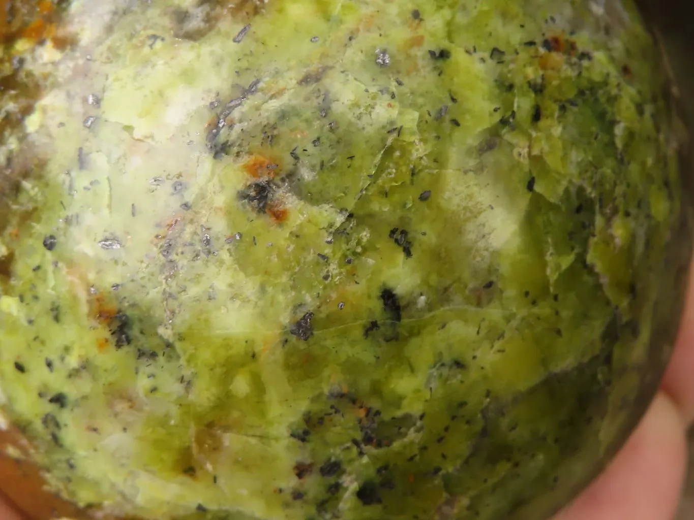 Polished Stunning Green Opal Spheres  x 2 From Madagascar