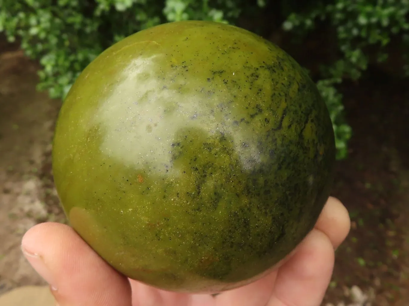 Polished Stunning Green Opal Spheres  x 2 From Madagascar